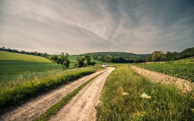 Hustopeče: tradiční šotoliny i řada drobných úprav